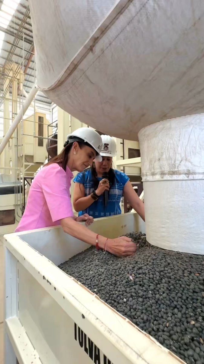 Les muestro la Planta Embolsadora de Frijol de Alimentación para el Bienestar, en Sombrerete, Zacatecas.