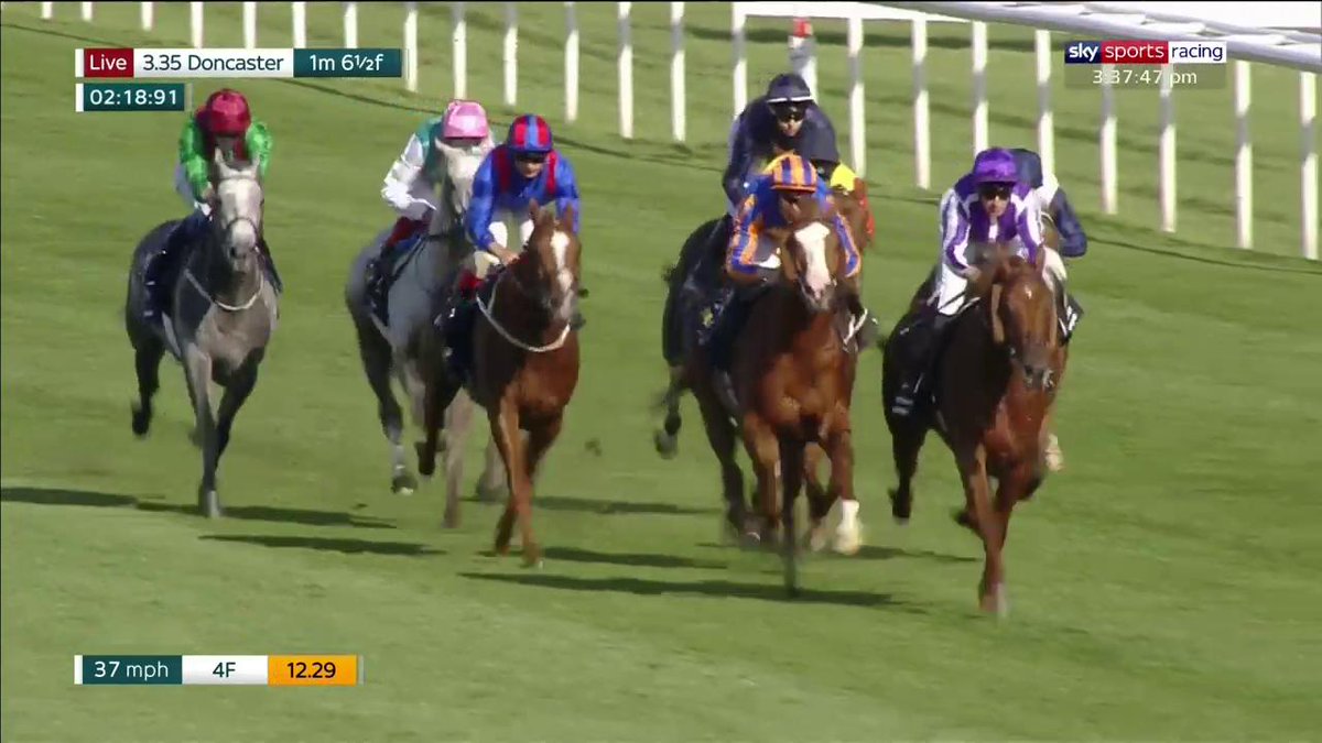 Logician was foaled 10 years ago today! 5 races unbeaten as a 3 year old, including the 2019 St Leger...🥇