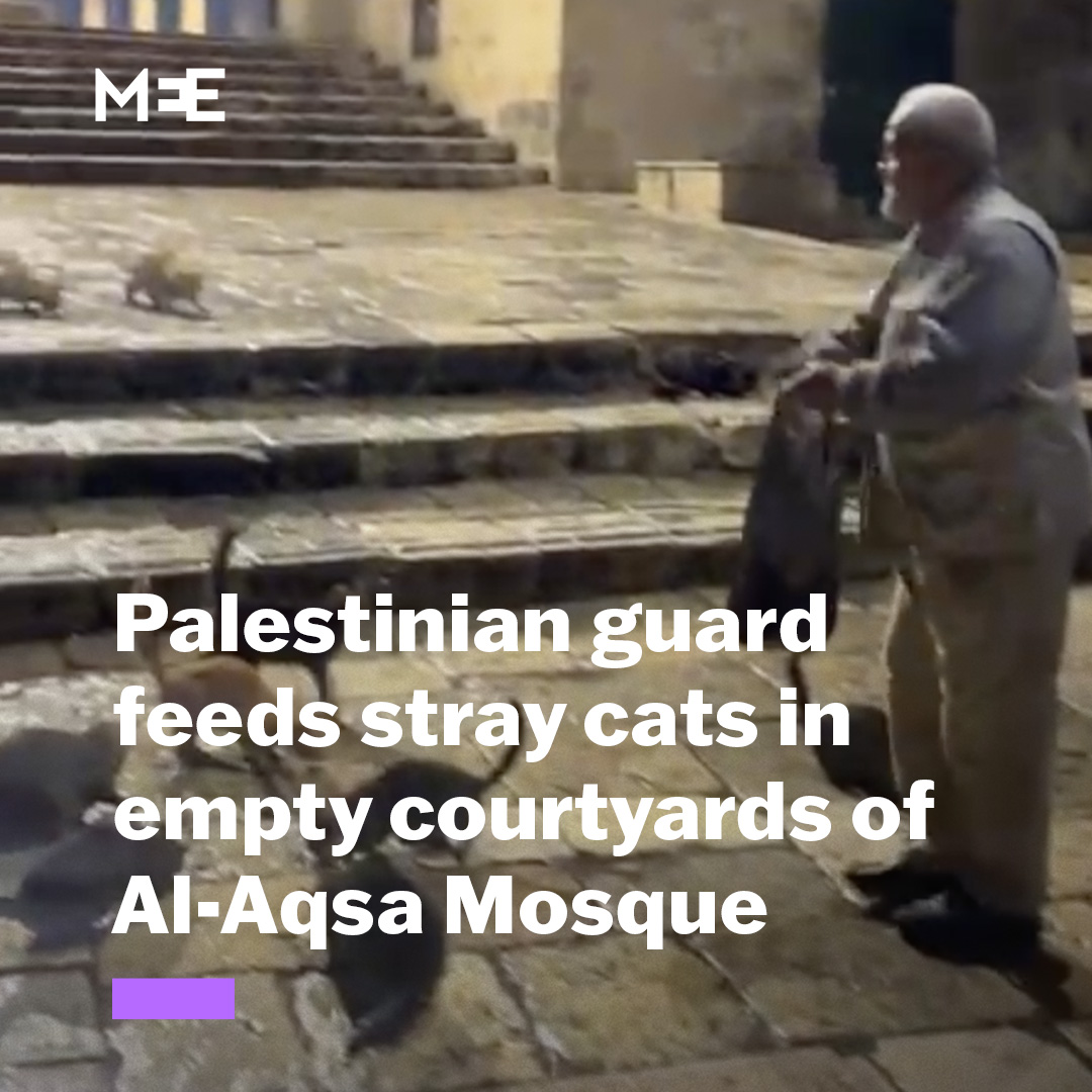 In the courtyards of Al-Aqsa Mosque, a Palestinian security guard was seen feeding stray cats as the usually crowded compound stood largely empty after Israeli forces barred Muslim worshippers from entering, with restrictions introduced during the holy month of Ramadan.