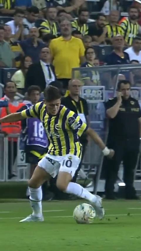 Seni Fenerbahçe forması ile sadece 51 maçta izlemiş olmanın hüznü içerisindeyim.