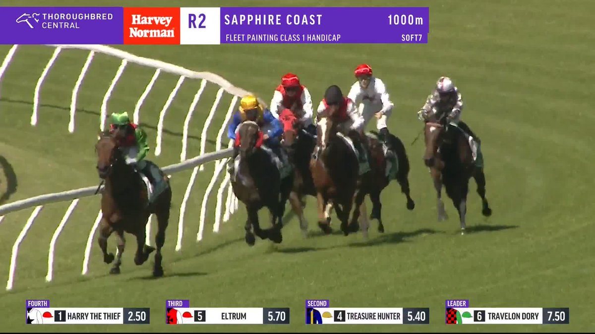 That's two from two for Harry The Thief, who steals the win! Mitchell Beer Racing Louise Day Sapphire Coast Turf Club
