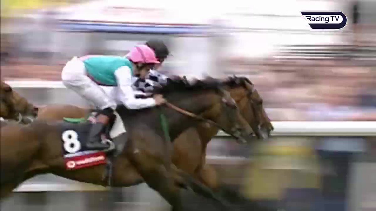 Galileo was born 28 years ago today! What a career, and what a legacy. Rewatch his Epsom Derby win back in 2001.