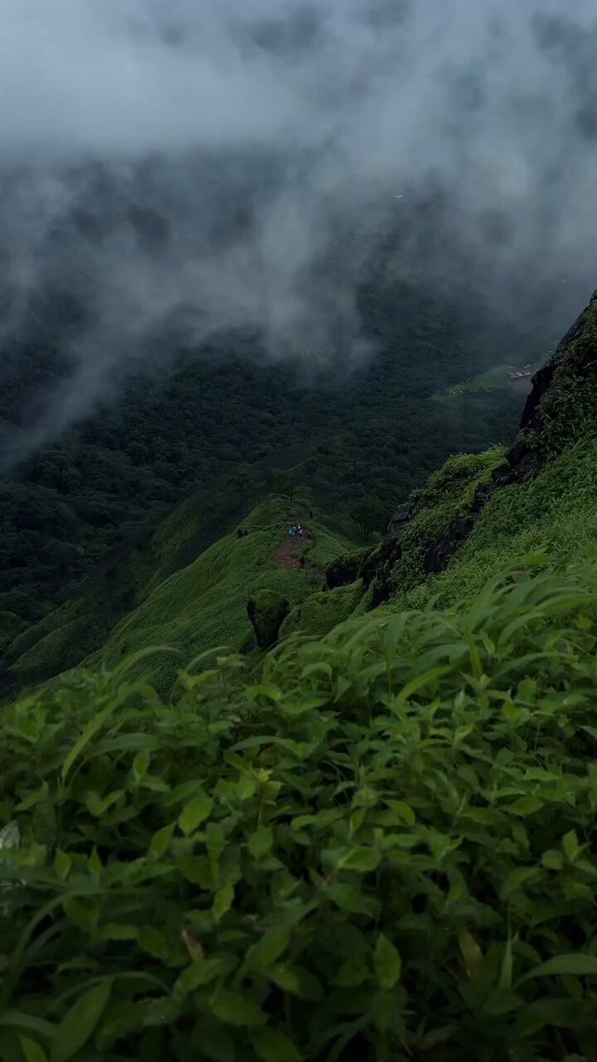 The landscape of Western Ghats, India