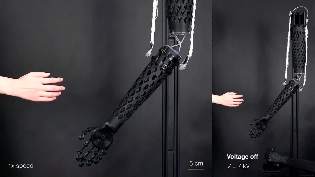 A new Science Robotics study highlights electrofluidic fiber muscles that can support flexion and extension of a robot arm for a human handshake.