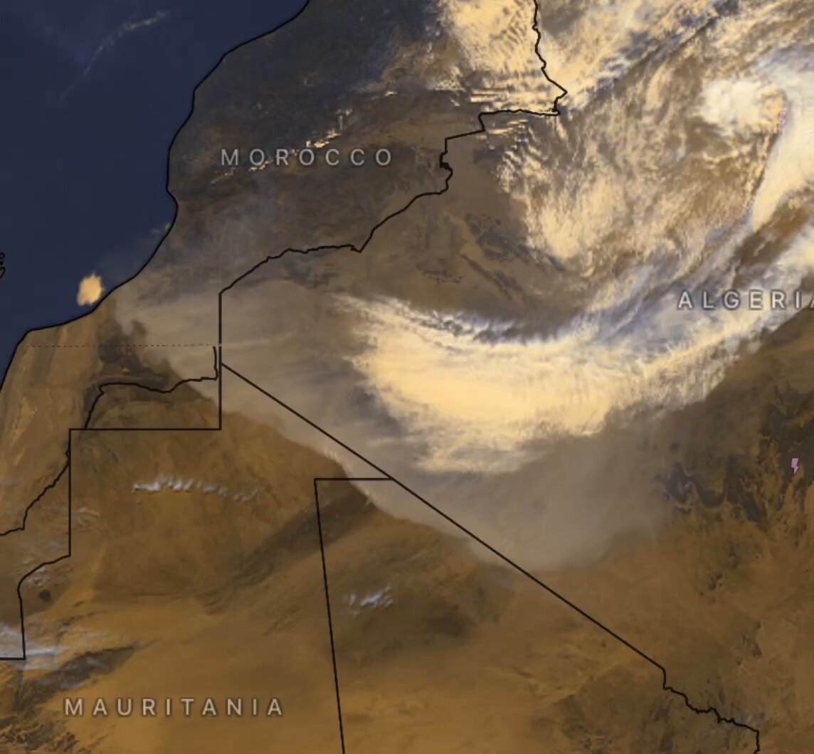 A low pressure storm system over Algeria is fanning a fierce, ~1,200 mile-long dust storm through the Sahara Desert right now. This solid, roiling wall of atmospheric sand is racing to the southwest at ~30 mph.