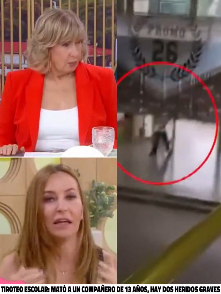 "El GTA": Por comentarios de Analía Franchín tras lo que sucedió en una escuela de San Cristóbal