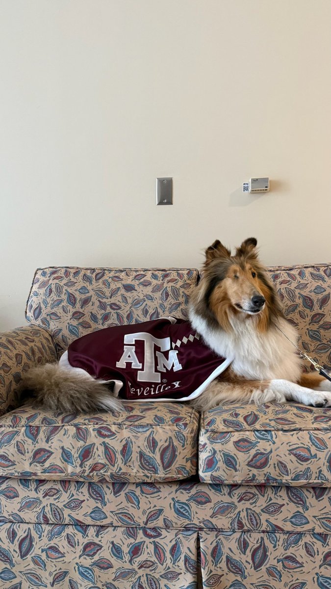 Today I got to visit a nursing home! Basically it's like my dorm, except the people here give me a lot more treats. 😉
