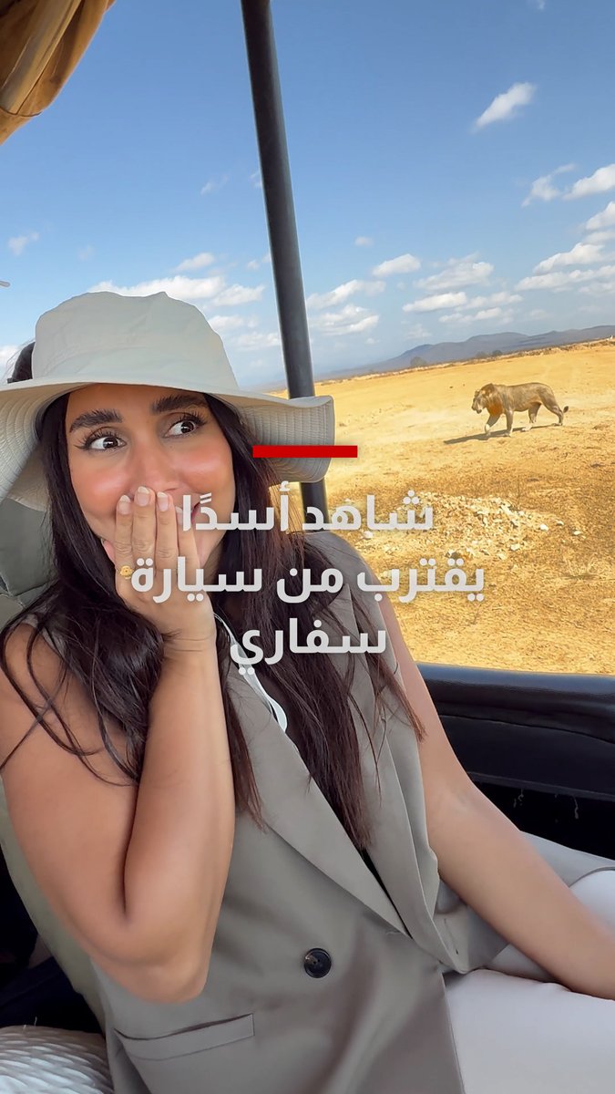 الصوت ممنوع.. شاهد أسدًا يقترب من سيارة سفاري في قلب الطبيعة بإفريقيا