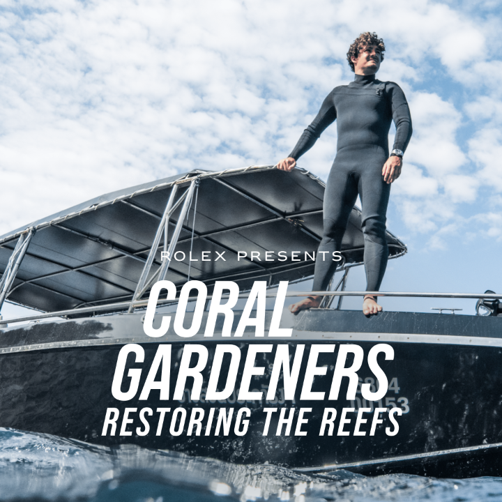 Out now. Coral Gardeners founder Titouan Bernicot fights for coral reefs. As part of our #PerpetualPlanet Initiative, he celebrated the launch of his organization’s new branch in Thailand with renowned oceanographer Sylvia A. Earle. More on #Reachforthecrown