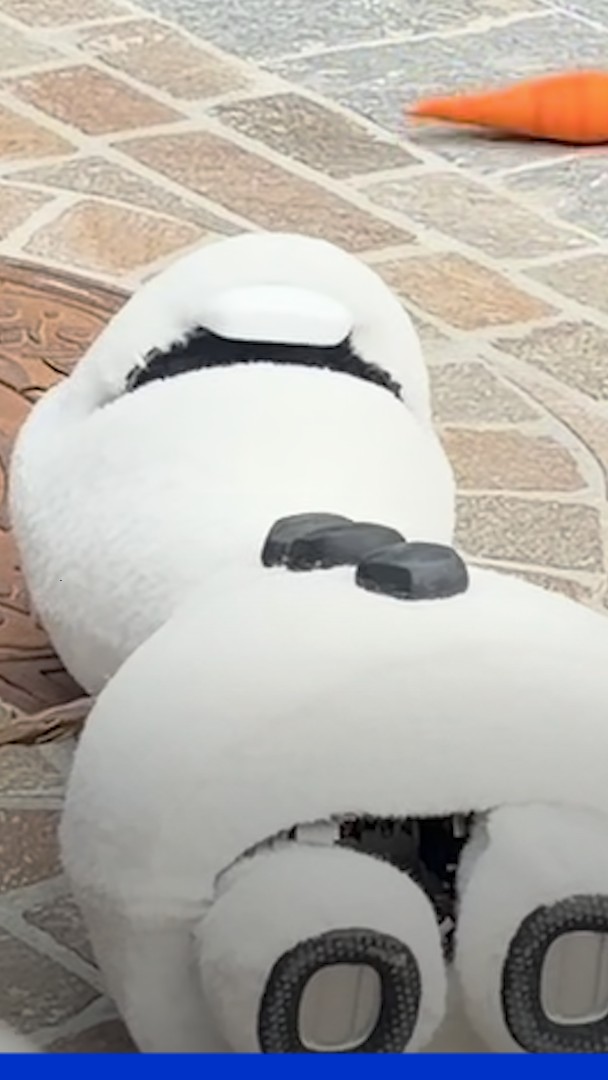 Le robot de Olaf, de "La Reine des neiges", s'éteint en pleine performance à Disneyland Paris
