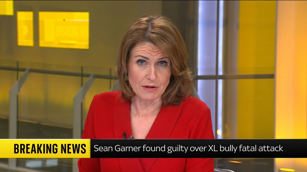 BREAKING: Aspiring rapper jailed for owning XL bully that mauled mother-in-law two days after ban. 📺 Sky 501 and YouTube