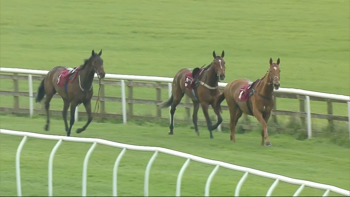 【海外競馬】 🏴ウェールズのバンガー・オン・ディー競馬場で複数件の落馬が発生したものの、幸い全人馬は無事。 🎥 At The Races