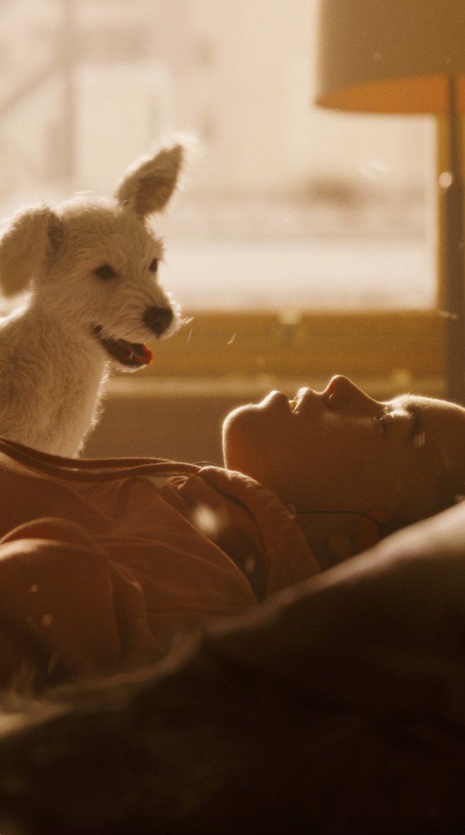 There's no place like home with Krypto, who else agrees? #Supergirl - only in theaters June 26.