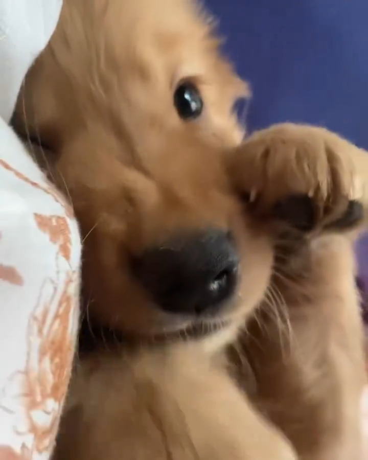 so cute buddy ๐ถ๐