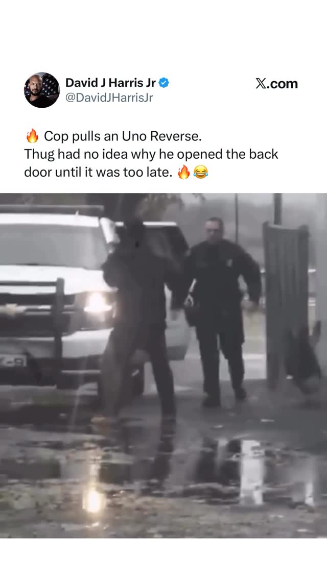 I bet that dog was going crazy wanting to get out when he saw that happen