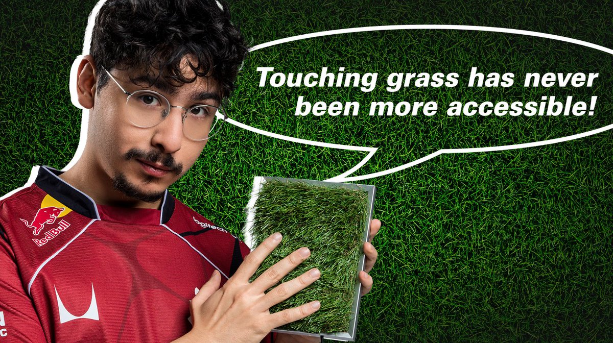 Touch grass fr