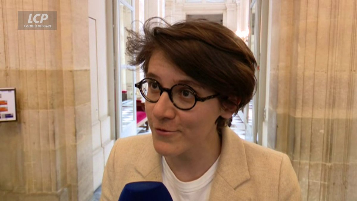 "Si jamais le gouvernement nous piétinait en inscrivant demain à l'ordre du jour la loi Yadan malgré l'opposition de tous les groupes parlementaire, mon collègue Raphaël Arnault sera d'une grande aide parce que c'est un spécialiste de la lutte antiraciste", réagit Gabrielle Cathala.