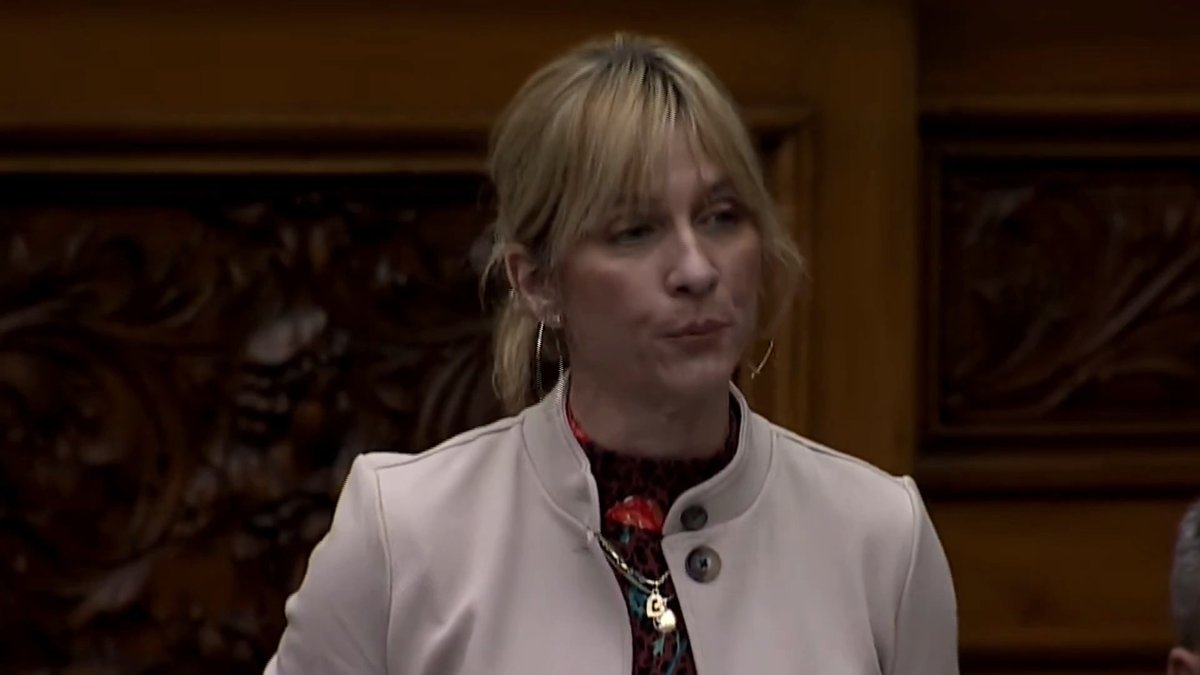 💥 MUST WATCH: MPP Bobbi Ann Brady calls out @FordNation for not providing provincial protections for licensed gun owners. "Why is this govt leaving Ontarians exposed to a patchwork of enforcement, instead of delivering real province-wide protection like Premier Smith and Moe?"