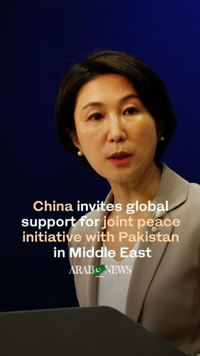 ہماری تمام ممالک سے عرضی ہے کہ مشرق وسطیٰ میں جاری کشیدگی کم کروانے کیلئے پاکستان کے امن اقدامات میں شامل ہوں اور اگر یہ جنگ روکی نہ گئی تو توانائی کا بحران پوری دنیا کو لپیٹ میں لے گا پاکستانی ثالثی کی آواز پوری دنیا میں گونج رہی ہے پاکستان زندہ باد