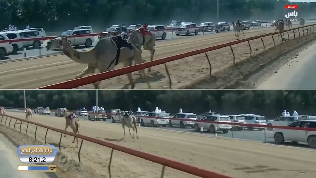 الشوط الرئيسي الرابع: سيف الإمارات للحول المفتوح المركز الأول المطية : (ريماس) لـ هجن الرئاسة المضمر: سلطان محمد الوهيبي مهرجان المرموم التراثي لسباقات الهجن | 02 ابريل 2026 #قناة_ياس📺