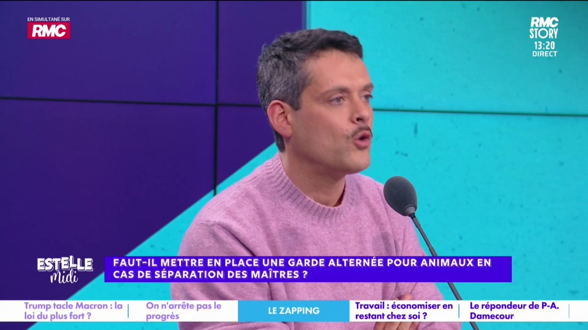 🎙️ Baptiste des Monstiers : "Je vois des copains dans des situations critiques pour la garde alternée de leur enfant... Est-ce que j'ai envie de débats à l'Assemblée pour encadrer la garde de Ronron le chat" 🎙️ Pierre Rondeau : "Je considère que mon animal de compagnie est mon enfant"