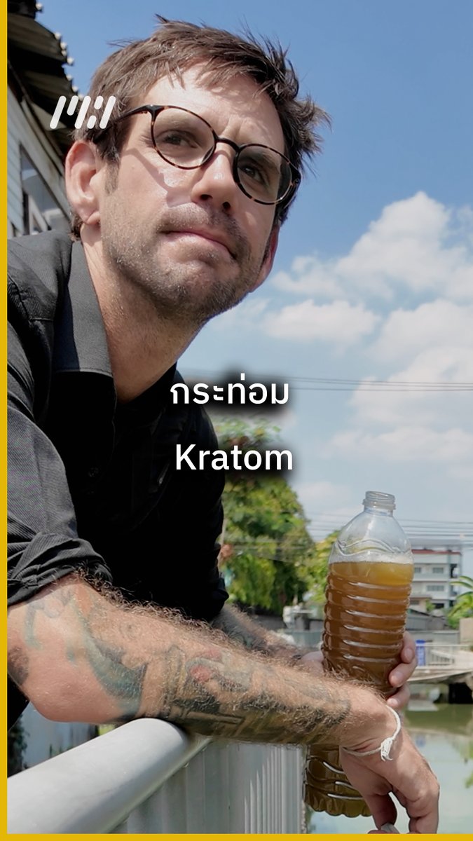 Kratom is a Thai traditional medicine legalized for expansive use in 2021, including as food and medicine #thailand #kratom #กระท่อม