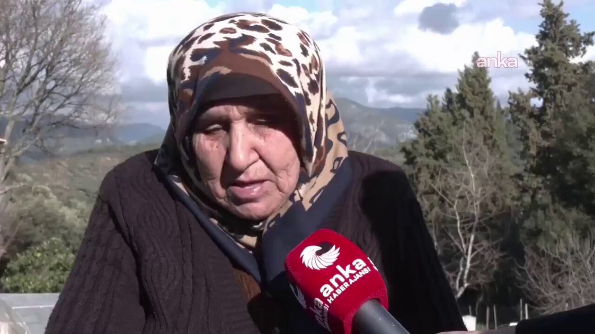 🚨 Akbelen’de, Erdoğan’ın imzasıyla 40 bin zeytin ağacı için kıyım kararı alındı. 80 yaşındaki Hamide teyze isyan etti: “Ölürüm; yerimden, yurdumdan, toprağımdan, vatanımdan, bayrağımdan olmam. Kurban olurum ben vatanıma, kurban olurum ben bayrağıma.”