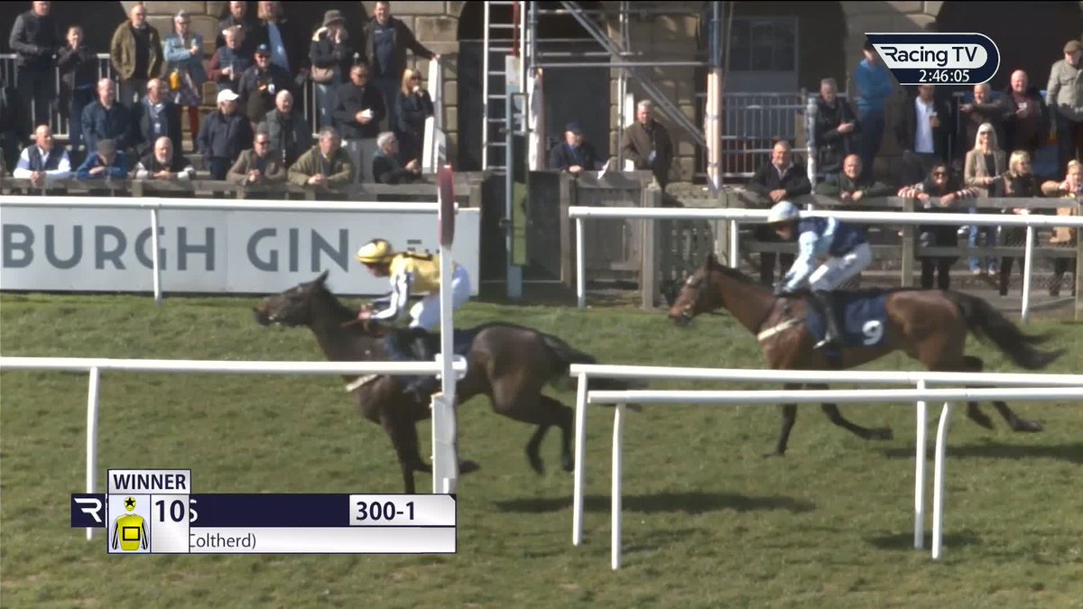 🚨 300/1 winner Kelso Racecourse CROKES CROSS emulates BLOWERS as the joint highest-priced winner in British racing history! 🇬🇧 🤯 I'm sure someone's backed it as usual?