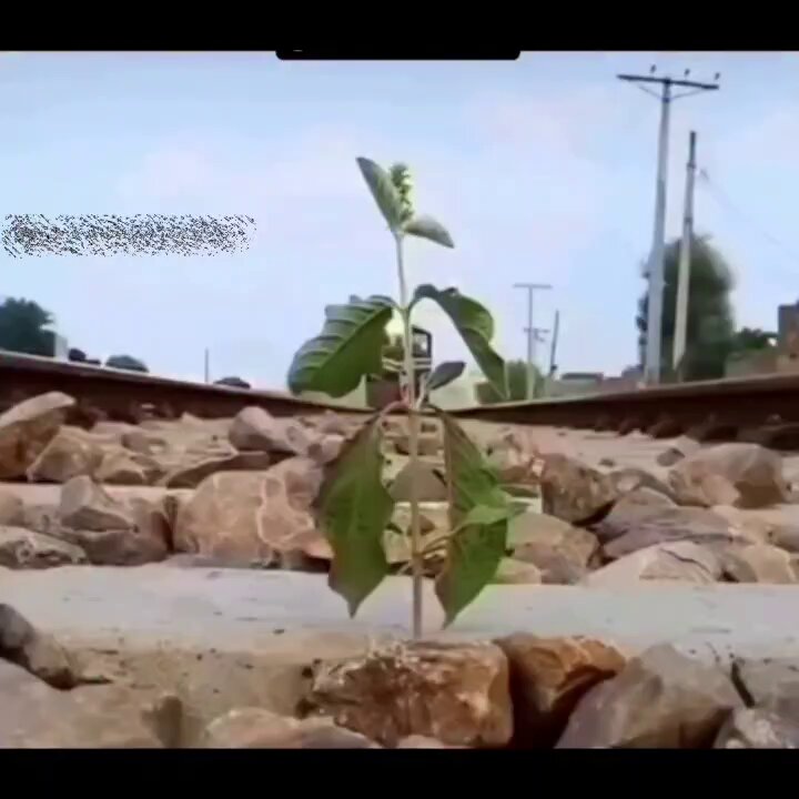 "Hak etmediğin şeyler yaşayacaksın ama onlar sana ne kadar güçlü olduğunu gösterecek."