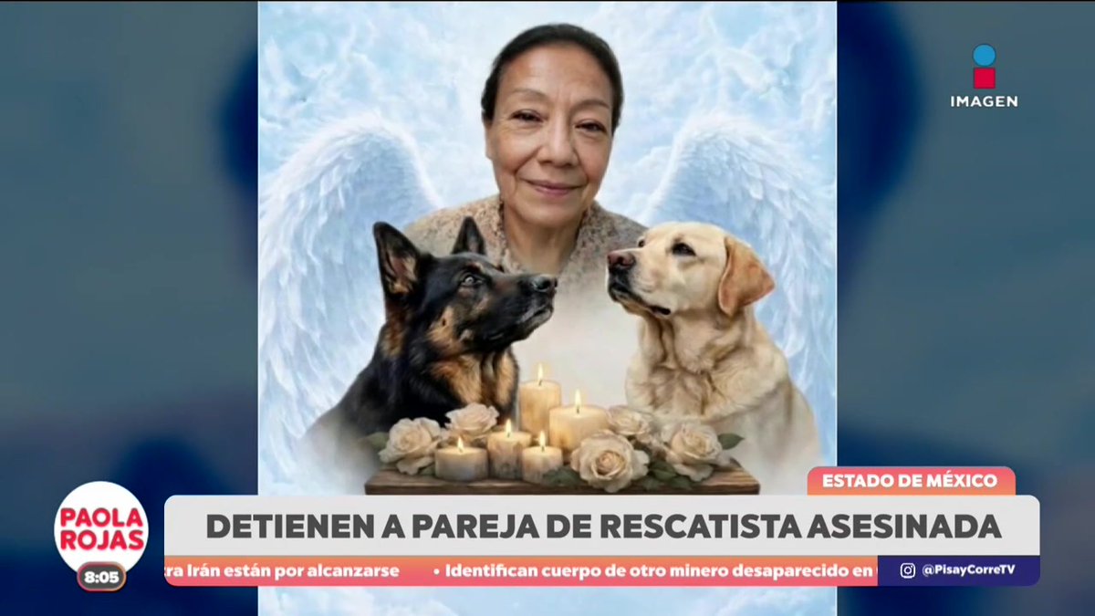 La Fiscalía del Estado de México detuvo a Octavio Enrique “N”, pareja sentimental y presunto feminicida de la activista y rescatista de animales, Anaid Belén García. #NoticiasImagen #PaolaRojasDPC Paola Rojas Hiram Hurtado