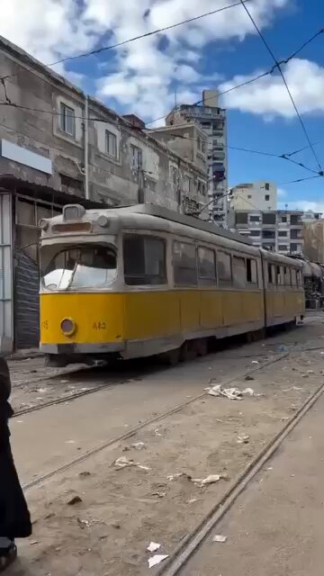 ▪️معقولة؟ ▪️معقولة؟ ▪️معقولة؟ "الإسكندرية".. ثِغرَّ البحر الباسم بوصفها المدينة التي كانت تُعانق جمال وسحر وإبهار رِمال "البحر الأبيض المتوسط" والتي تُسمى عاصمة "مصر القديمة" على يد مُؤسسيها "الإسكندر الأكبر" عام (331) قبل الميلاد! شخصياً.. لا أَُصدق مطلقاً ومطلقاً ومطلقاً هذه الوساخات المقرفة والمقززة والقبيحة التي تطال شوارع هذه المدينة العريقة ذات الجمال العمراني والسياحي والتجاري والاقتصادي سابقاً. ▪️السؤال المفصلي: لماذا يُحدثُ كُلَّ هذا في "مصر" المعمورة والمعاصرة؟ ▪️الجواب الشافي: يكمنُ في المقولة الغبيَّة: (أنا عندي فول وطعميَّة..بس ما عنديش قاعدة أمريكية)! الخلاصة الخاتمة: أنتمٌ أخر مخلوقات الله في هذا الكون تتكلمون على عظمة وجود دُوَّل الخليج العربي👌🏻 🇴🇲🇶🇦🇦🇪🇧🇭🇸🇦🇰🇼 #المجد_هنا #هنا_الكويت #خليجنا_واحد #علي_لاريجانى #كويتي_وافتخر #الوحدة_الوطنية #إيران_منبع_الشر #الكويت_عز_وفخر #علي_خامنئي_مات #الكويت_بلاد_العرب #مشعل_الأحمد_الجابر #شهداء_الكويت_البررة #فرسان_الحرس_الوطني #الجيش_الكويتي_الباسل #طرد_سفراء_طهران_مطلب