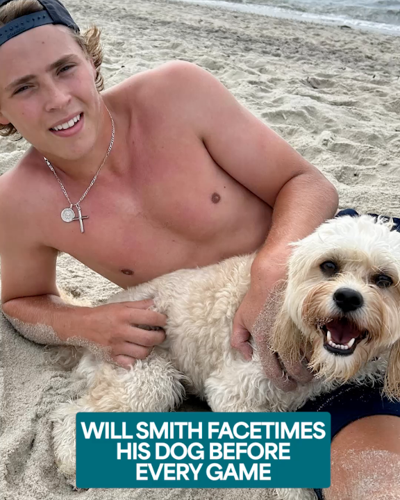 We absolutely need to see footage of Will Smith FaceTiming his dog... 🥹 Catch the full episode of Never Offside with Julie Petry and Cat (Belanger) Toffoli ➡️