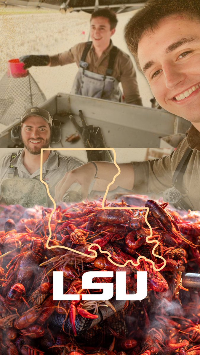 In Crowley, the heart of crawfish country, farmers are doing the work that keeps this Louisiana tradition alive. Timothy Wayne joined LSU AgCenter's Todd Fontenot to see how these mudbugs power our state’s economy. 🦞