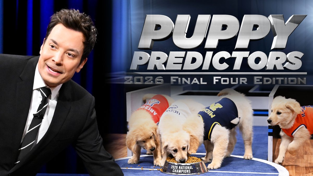 Tonight Show Puppy Predictors: Final Four Edition! 🐾🏀 NCAA March Madness #FallonTonight #FinalFour #MarchMadness