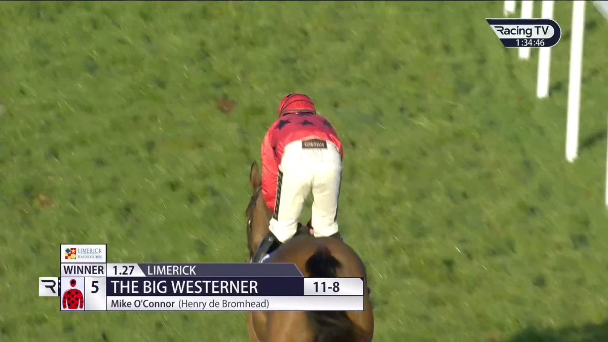 ❌ THE BIG WESTERNER has not been declared in the Grade 1 WillowWarm Gold Cup at FairyhouseRacecourse on Sunday.