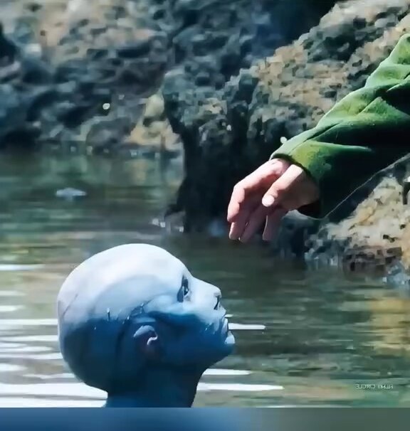 Film Adı : Soğuk Deri