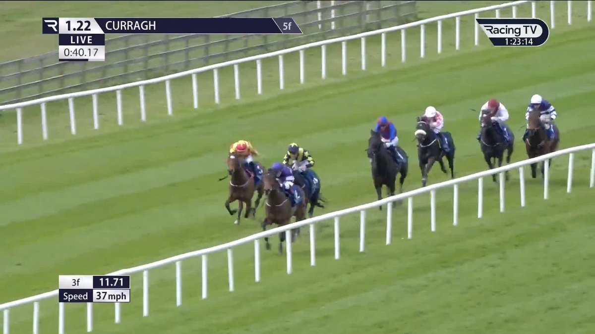 🚨 🇮🇪 Eyecatcher Alert: CONFUCIUS a 1,700,000gns purchase gets taken off his feet early doors to make up seven lengths and just get beat on debut under Ryan Moore. 🎩 This son of NO NAY NEVER will no doubt be one of Aidan big guns at ROYAL ASCOT in June.