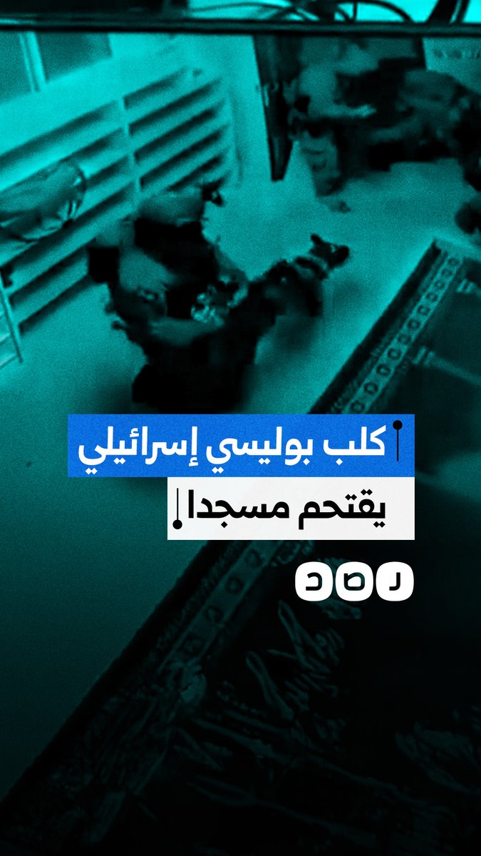 كلب بوليسي إسرائيلي يقتحم مسجدا ويهاجم مصلّيا فلسطينيا