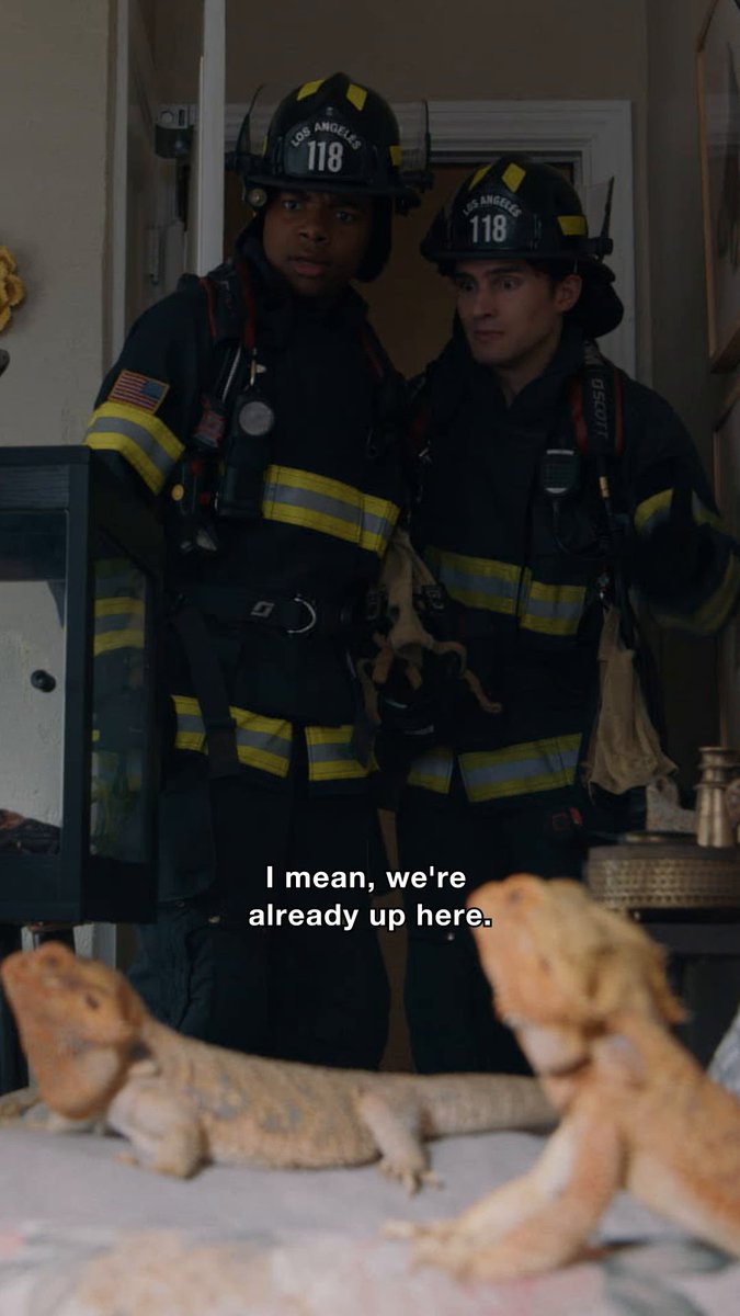 Iguana's day out with uncle Harry and uncle Sam 🦎 Stream #911onABC on Hulu now!