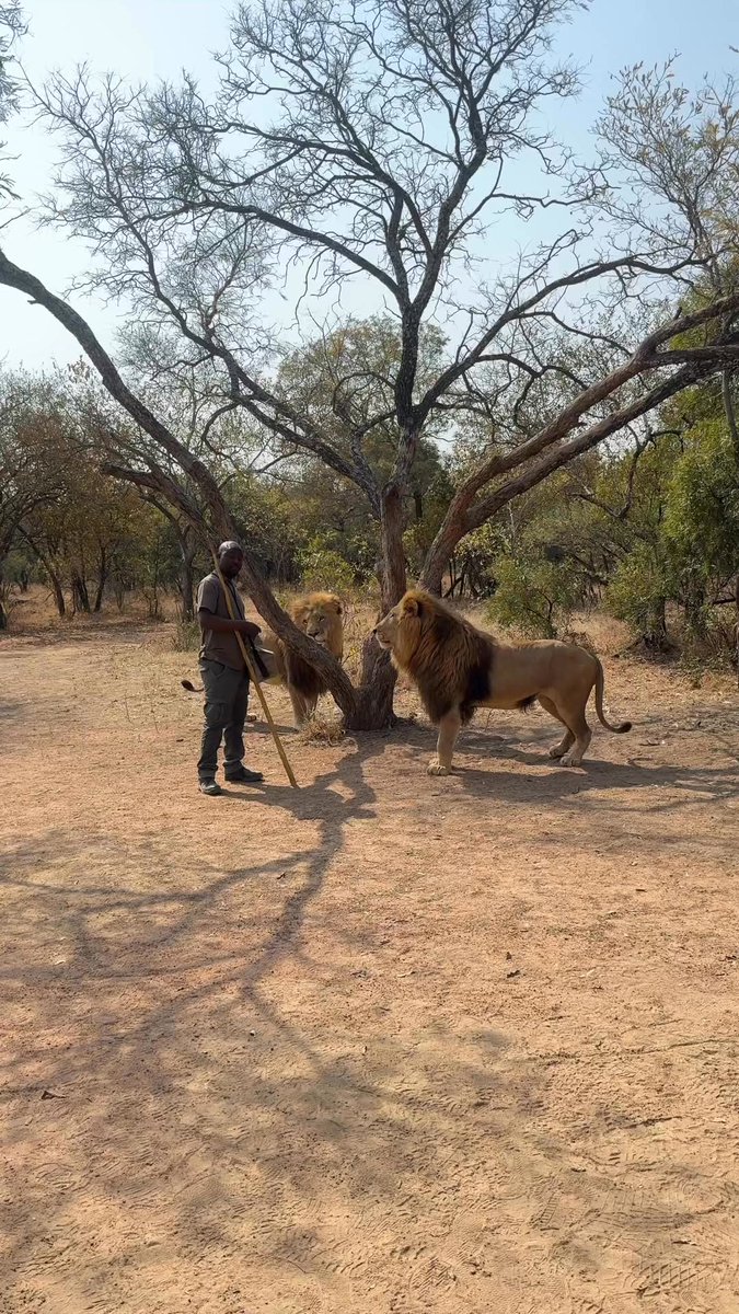 Man is the most powerful animal on earth