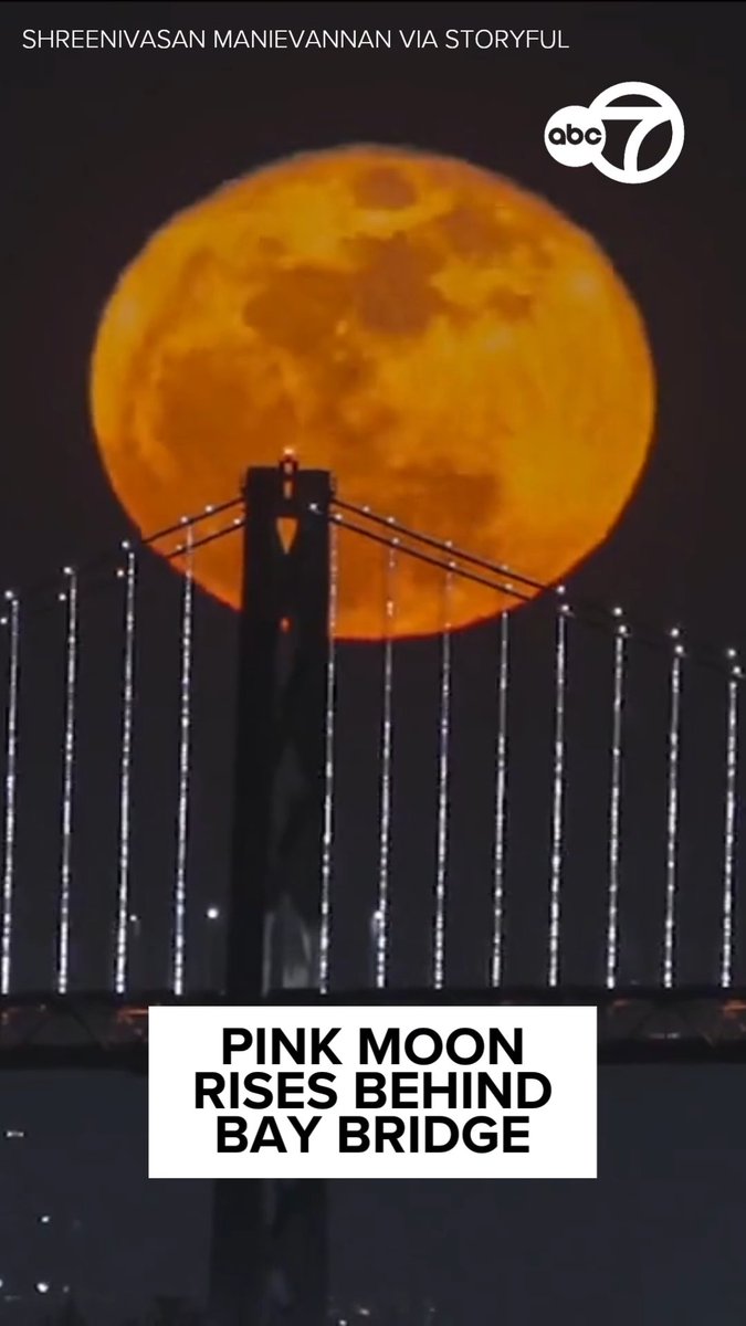 Here’s a stunning view of the Pink Moon rising behind the Bay Bridge! 🌕🙌 This first full moon of spring is nicknamed the Pink Moon for the wildflowers that are blooming.