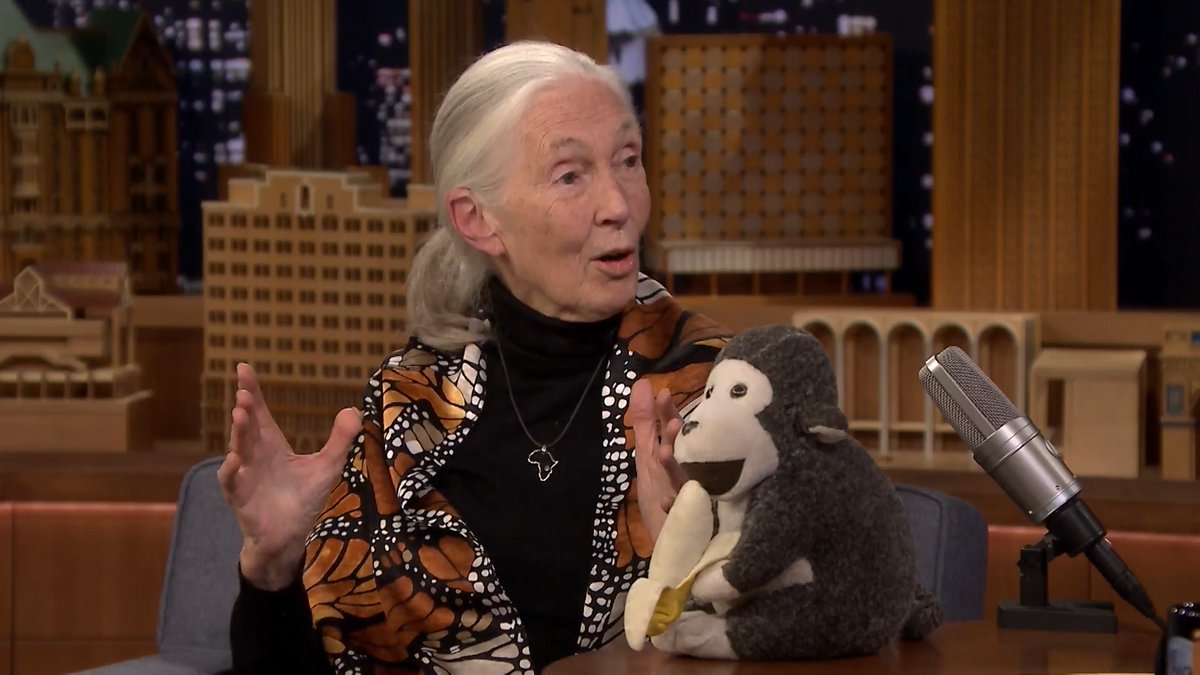 The late great Dr. Jane Goodall & the Jane Goodall Institute reflects on her legacy and hope for the world. Rest in Peace, Jane. #ThankYouJane #RememberingJane Original Air Date: April 19th, 2019