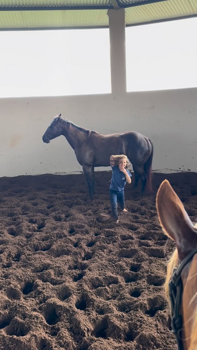 When she cried the horse felt sorry for her, nothing more pure than animals hearts