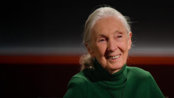On what would have been Dr. Jane Goodall’s 92nd birthday, we celebrate the profound impact she had on the world and look back on her final message in Famous Last Words: “Every single day you live, you make a difference in the world — and you get to choose the difference that you make.”