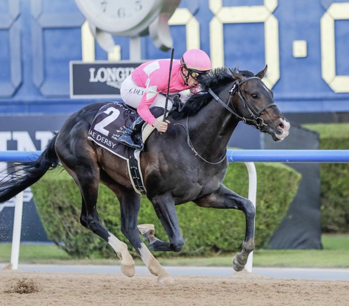 Wonder Dean, the first Japanese contender for Kentucky Derby 152, arrived at Churchill Downs earlier this week and is officially out of quarantine! 🌹🇯🇵
