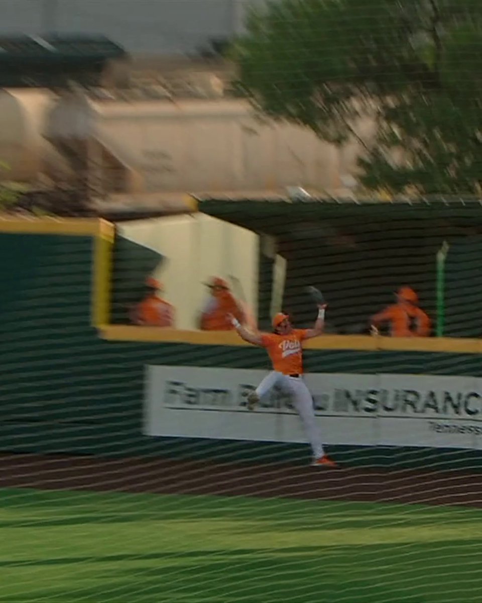 Elite HR robbery from Reese Chapman 😱 @Vol_baseball | #SCtop10