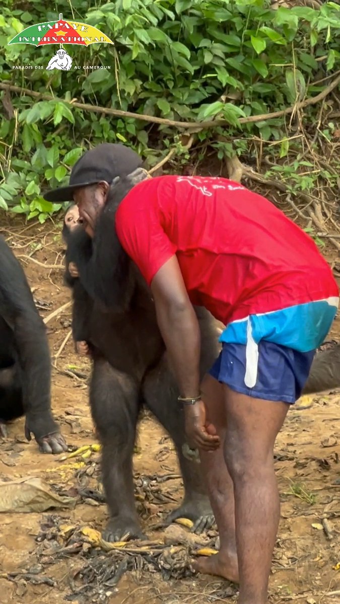 When animals show us their babies it’s such a big sign of trust