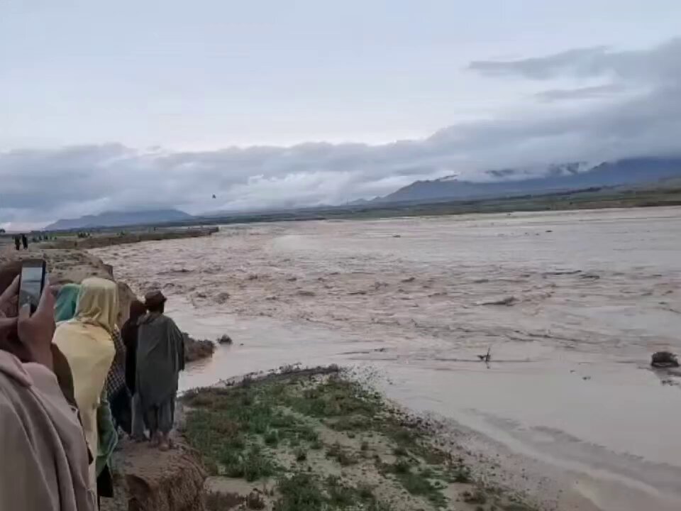 زندہ آباد دے تہ وایی دہ خفل اولس سرہ حقیقی مینہ ۔👇