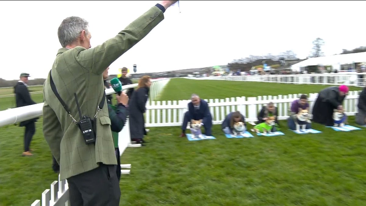 ISLAY is your winner of the 4th running of the Corgi Derby Musselburgh Racecourse! The appropriately named winner who works in Glasgow 🐶👏