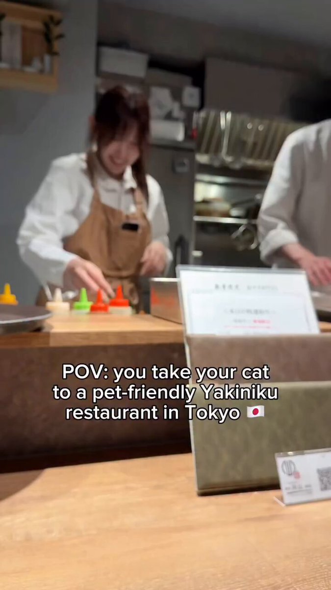 special evening out at a pet friendly restaurant 🐾